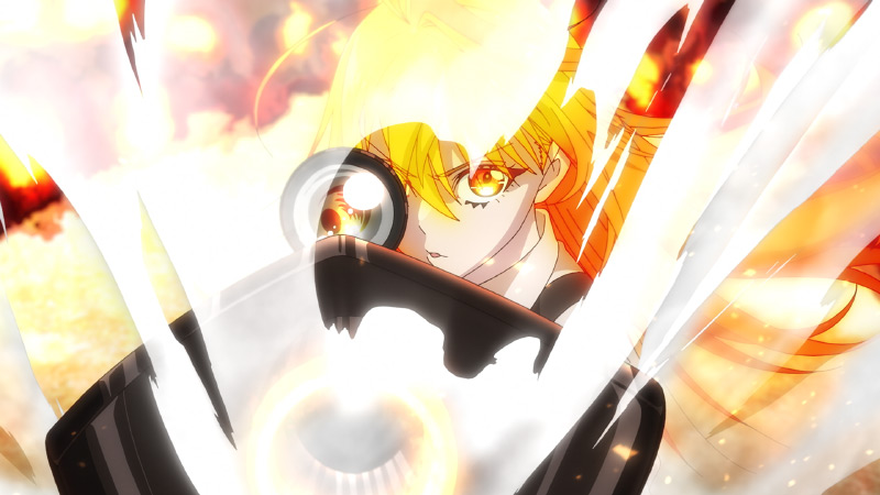 シイナの銃器