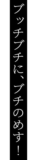 ブッチブチに、ブチのめす！