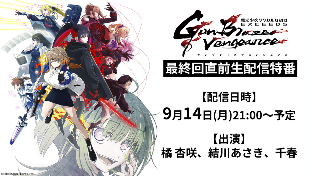 「魔法少女リリカルなのは EXCEEDS Gun Blaze Vengeance」最終回直前生放送特番